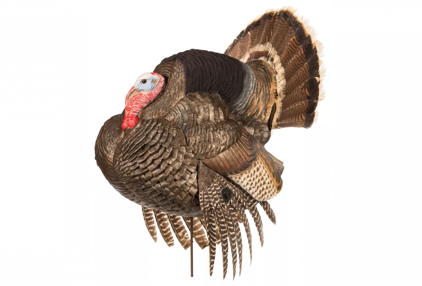 https://www.cabelas.com/shop/en/Dave-Smith-Decoys-Strutter-Turkey-Decoy?ds_e=GOOGLE&ds_c=Nb%7CGeneric%7CHunting%7CDSA&gclid=CjwKCAjw9qiTBhBbEiwAp-GE0aAK9kaX9kZep6R4FLkODCz81nD3b9vqOy-LxkDFrY5Z_gHgndWxjRoCG6YQAvD_BwE&gclsrc=aw.ds