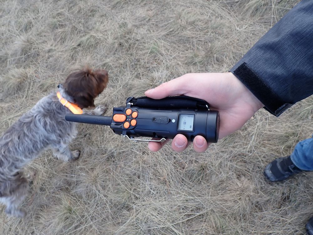 DT Systems SPR5300 Upland E-Collar during testing