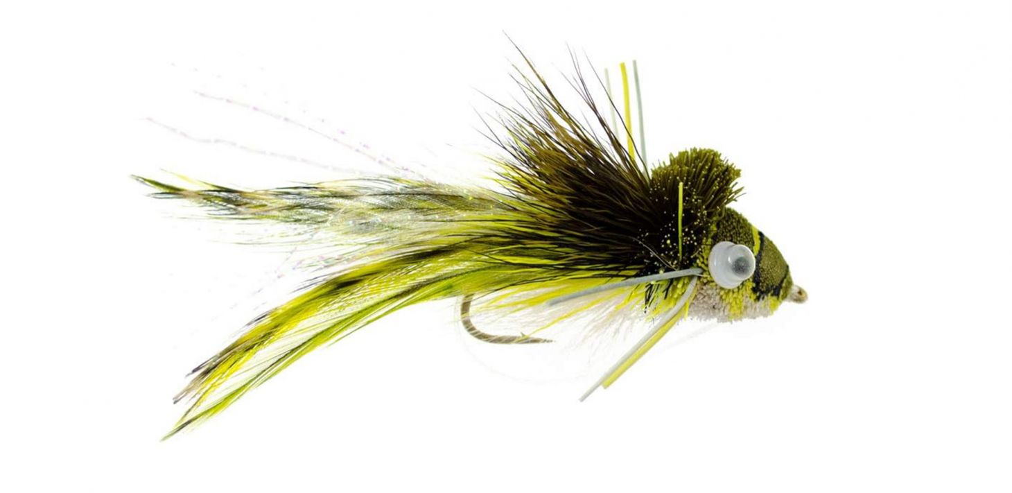 A Dahlberg Diver streamfly on a white background. 