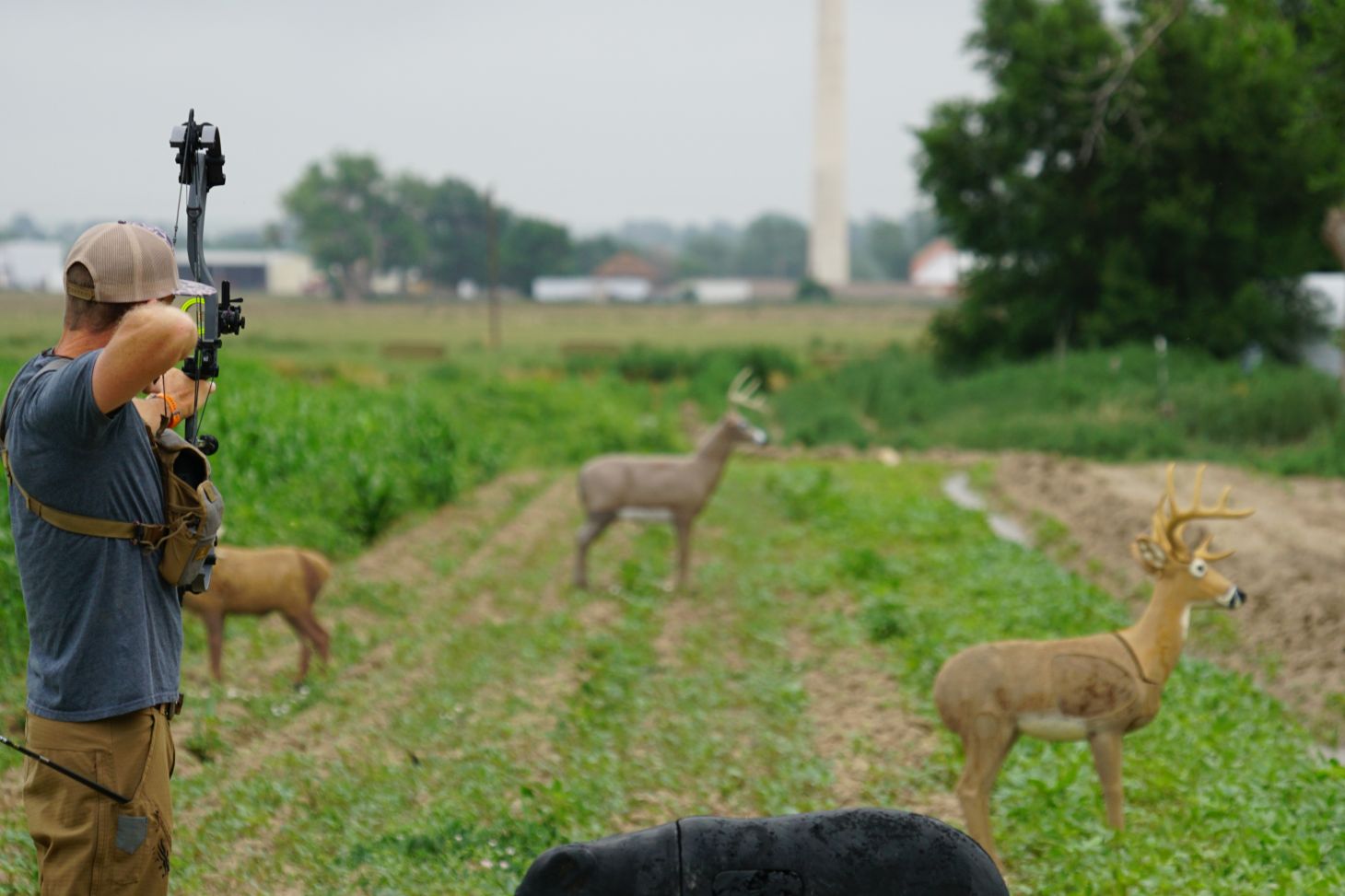 An archer shoots a compound bow at 3D deer targets in a field. 
