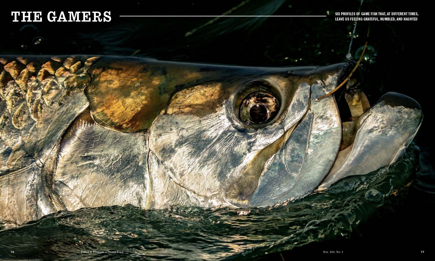 FASN125 Feat Gamers FINAL