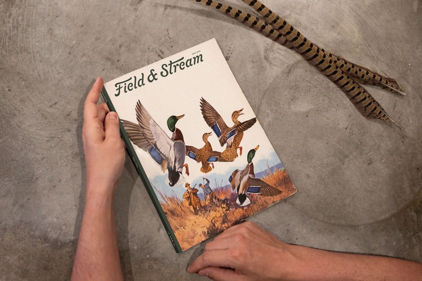 A concept cover of what the new Field & Stream magazine will look like