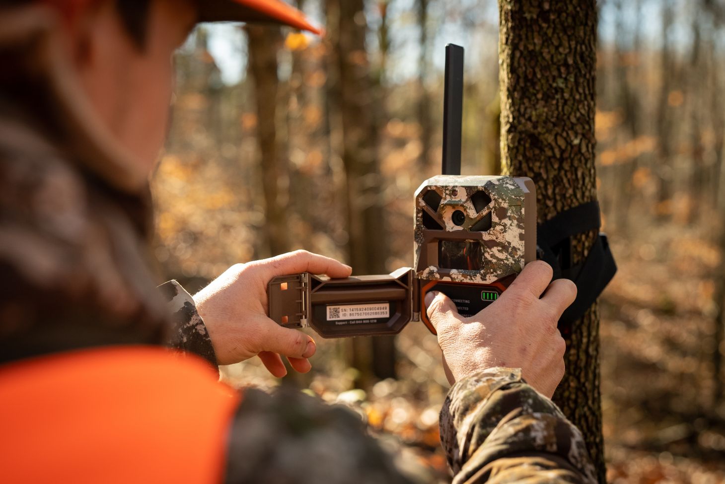 A hunter sets up a trail camera on a tree in the woods.