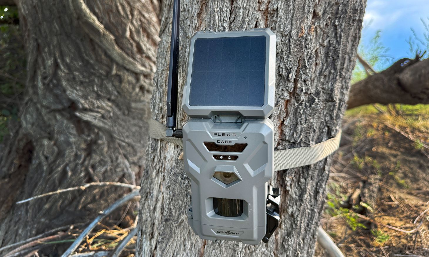 The new SpyPoint Flex-S Dark cellular trail camera.