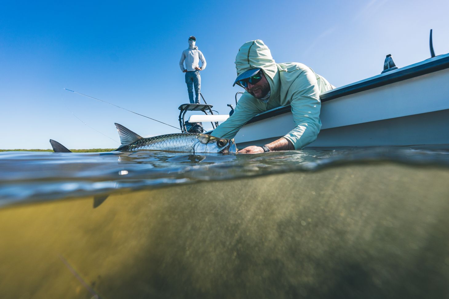 An angler properly revives a small tarpon before releasing it back into the water.