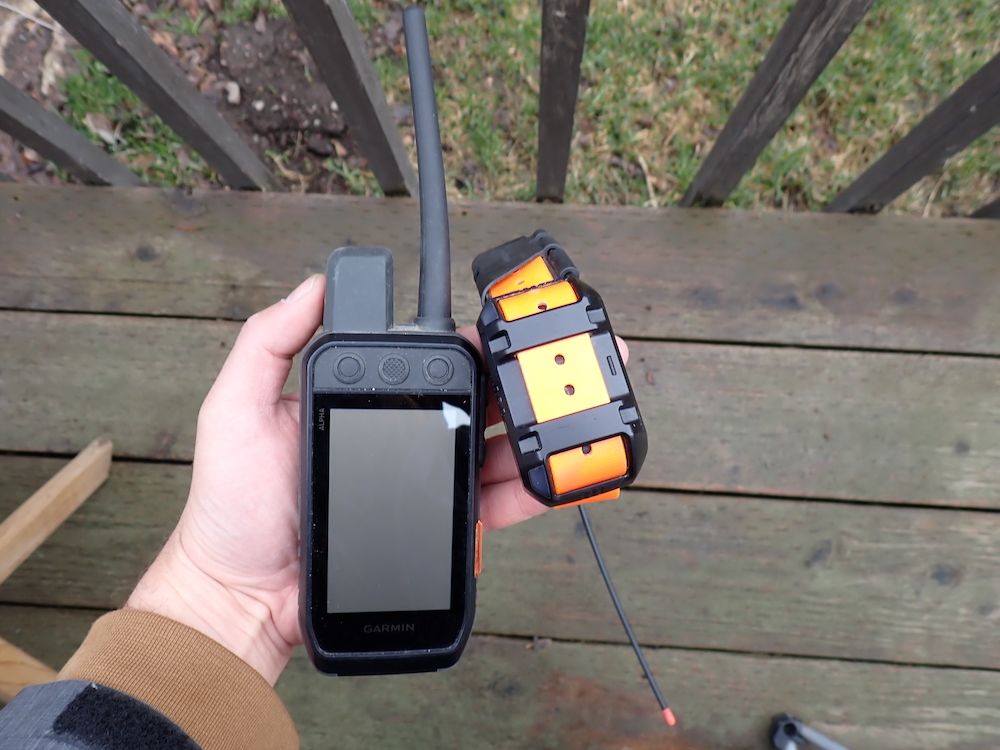 Garmin Alpha 300i GPS collar bundle during testing