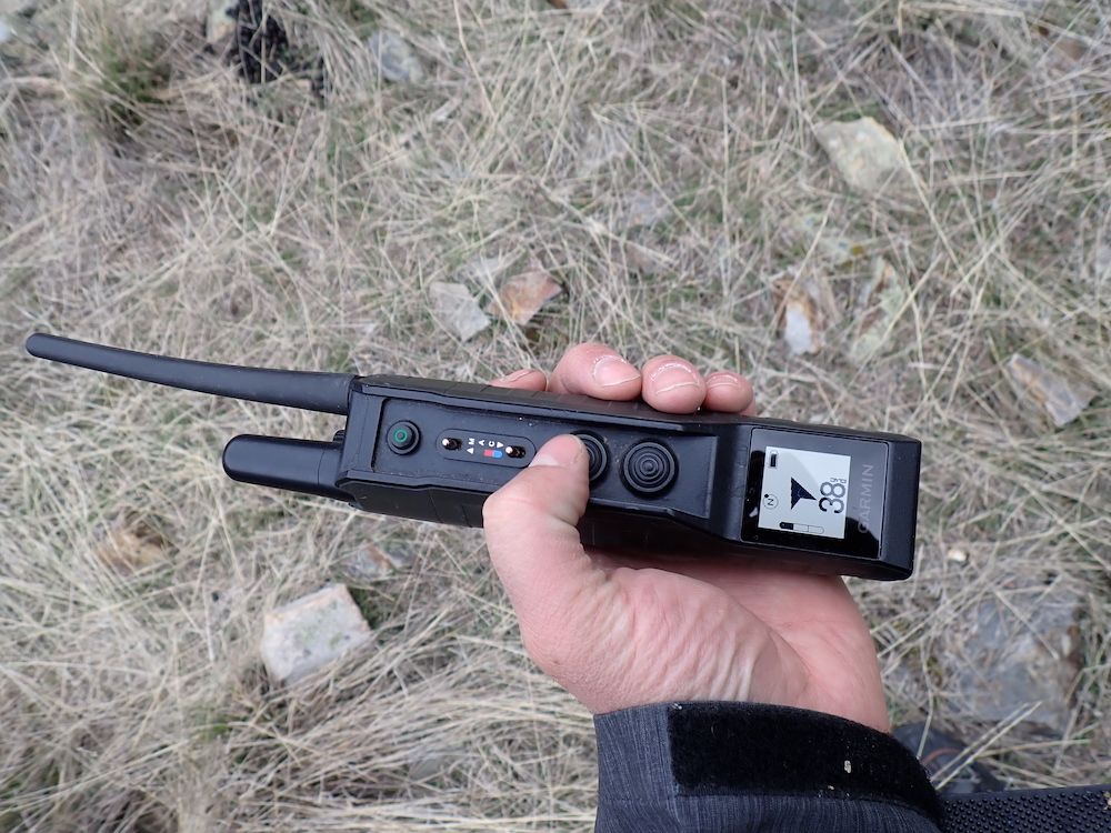 Garmin Pro 550 Plus during training collar testing