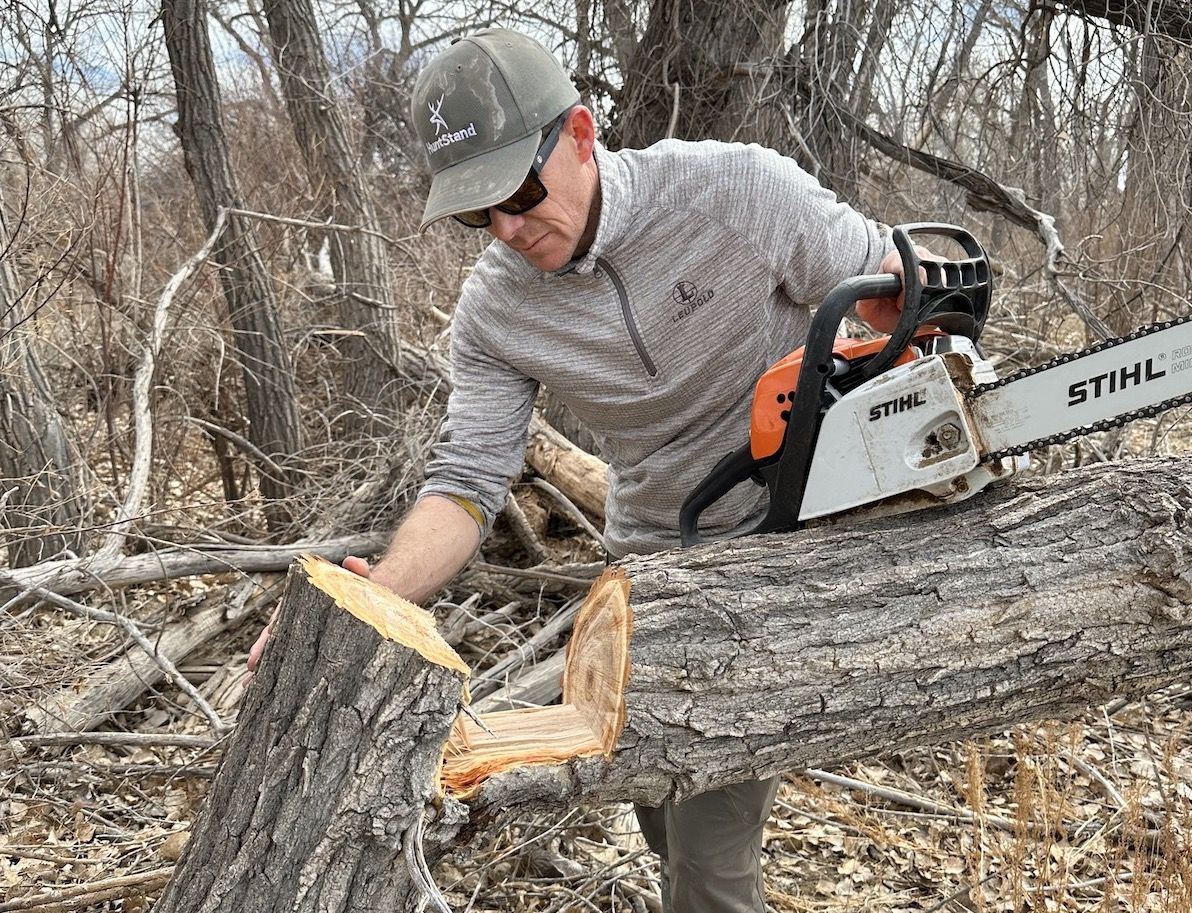 Cutting a tree in the preseason