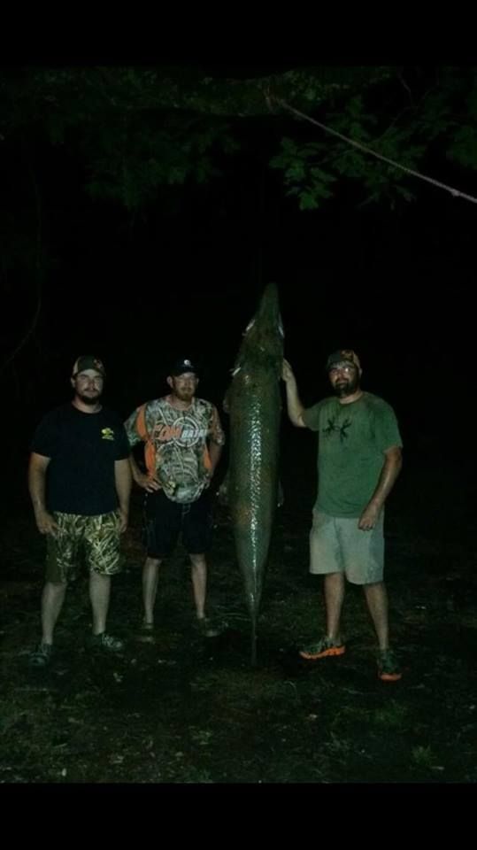 Bowfishermen pose with a record-breaking alligator gar. 