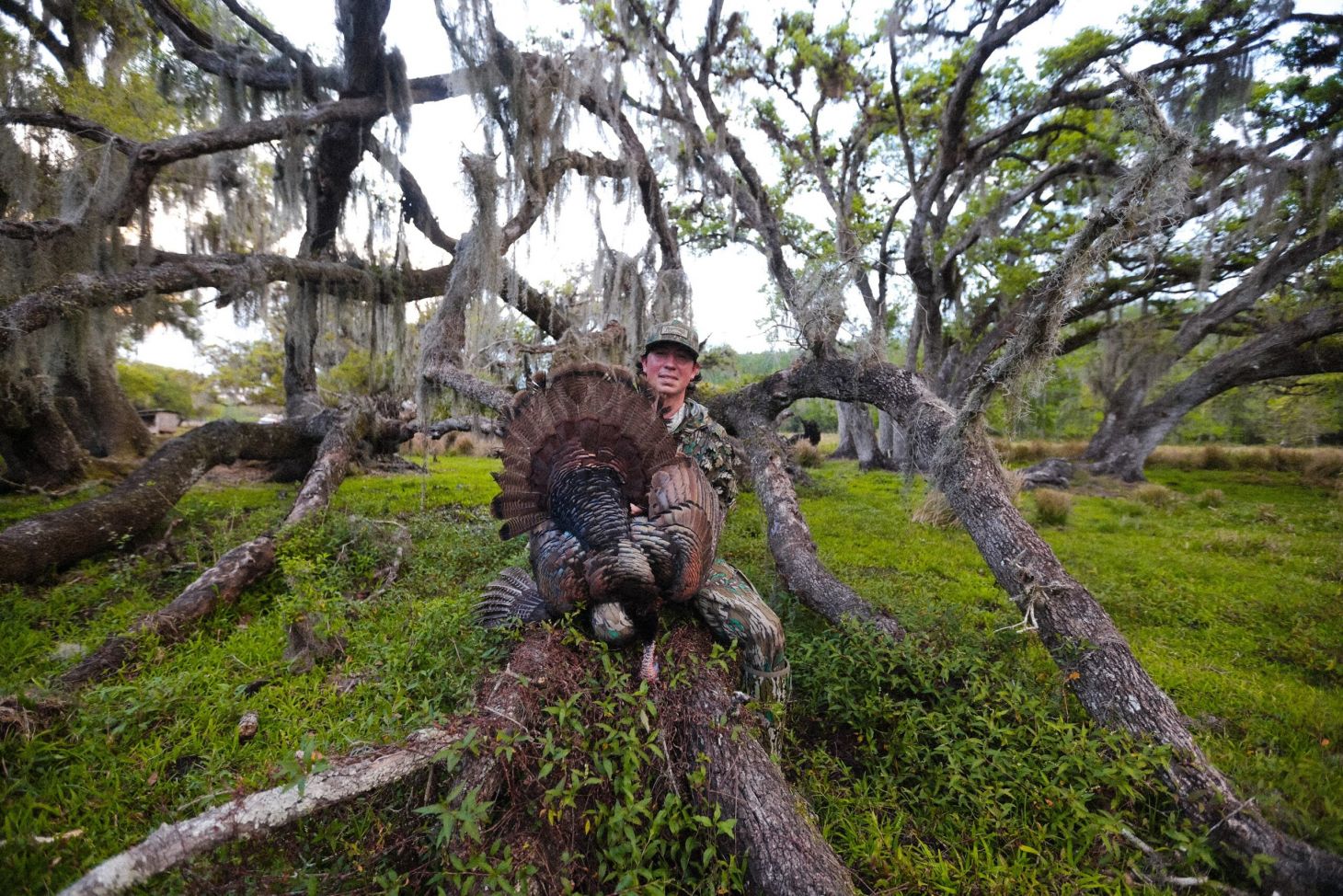 An Osceola taken in March of 2024.