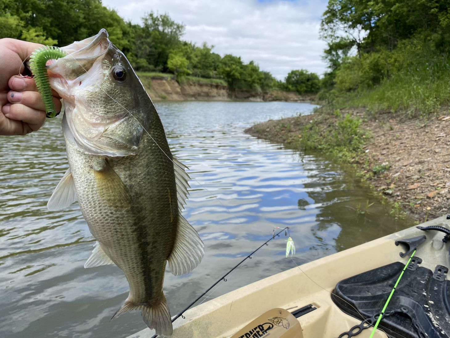 Angler's hand holding up a largemouth bass from a kayak.