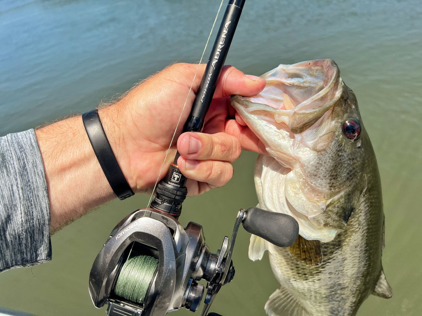 Hand holding rod and bass