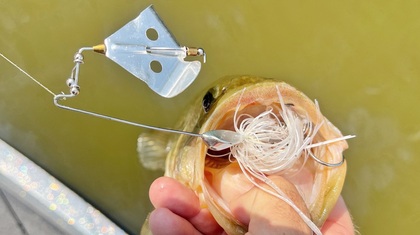 Buzzbait in bass' mouth