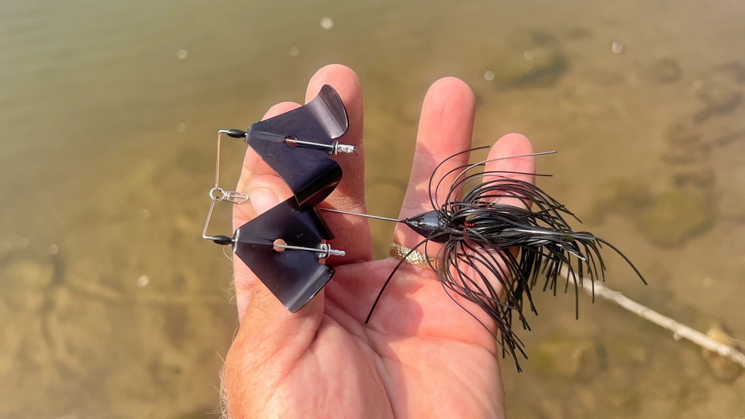 Buzzbait in hand