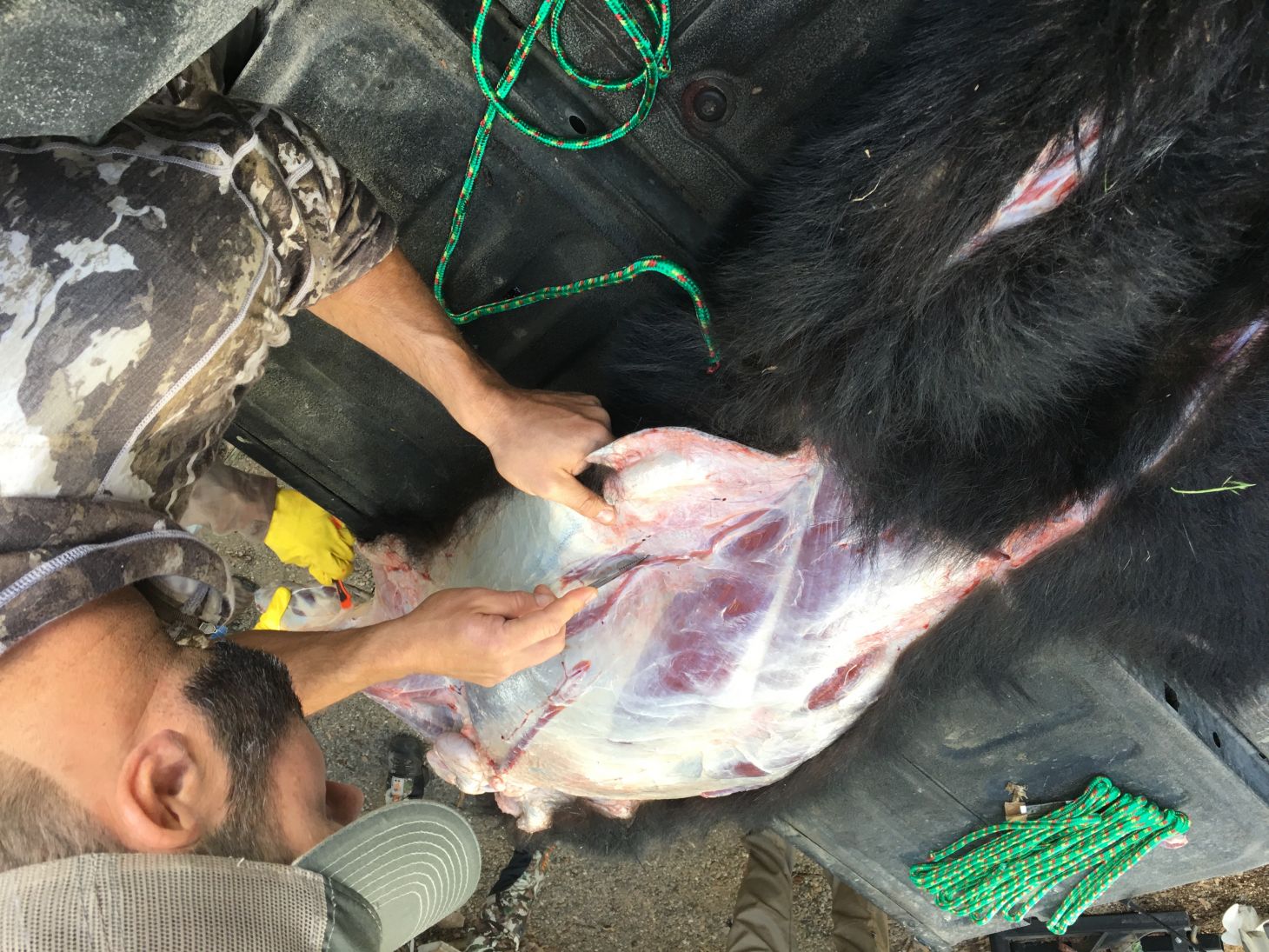 A man with a beard uses a knife to skin a black bear