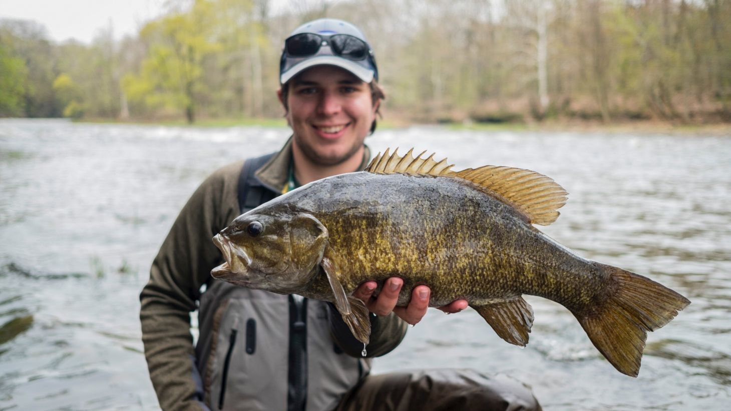 Male angler holding smallmouth bass on river in New York