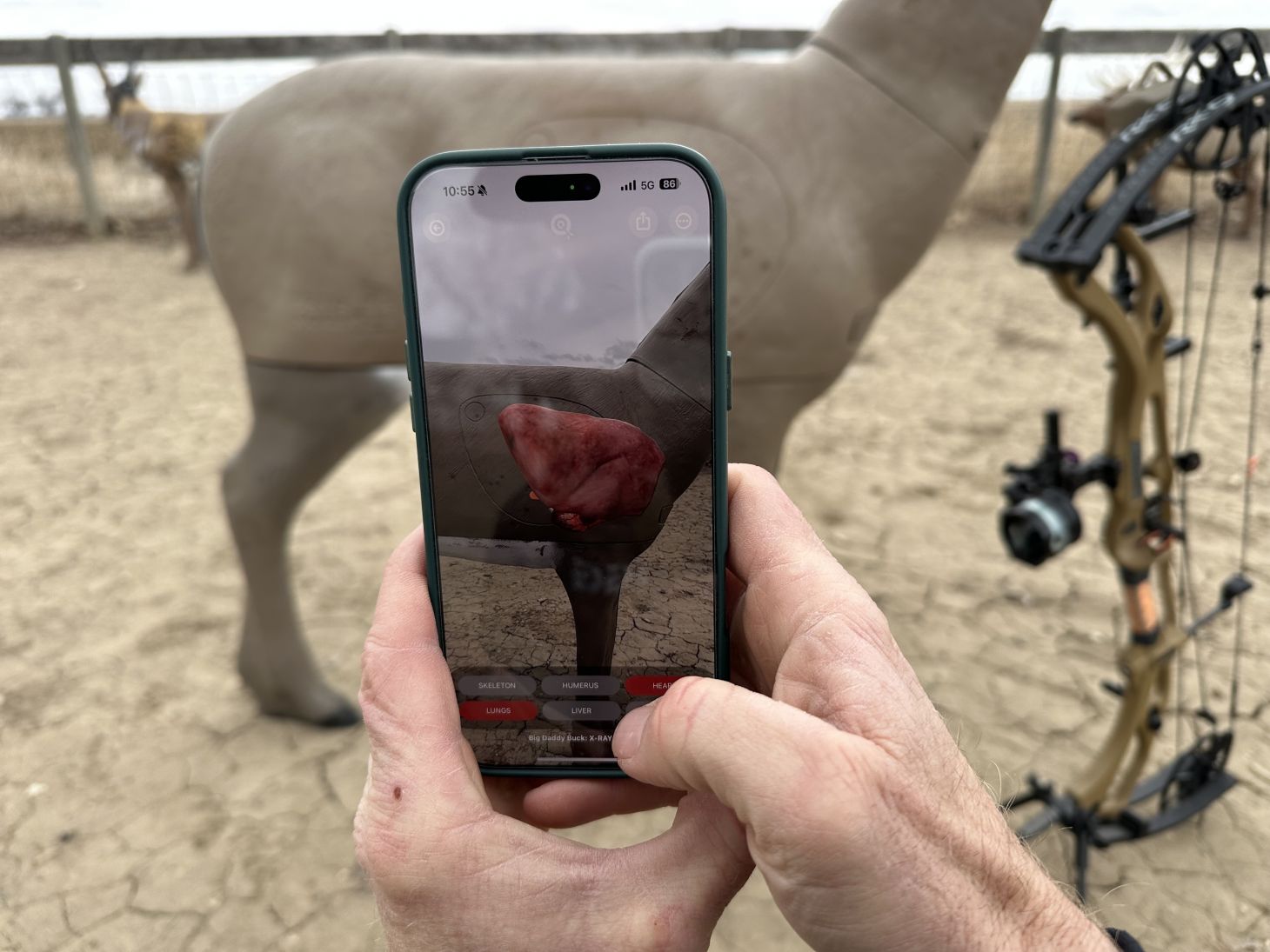 iphone with QuivAR app open pointed at deer