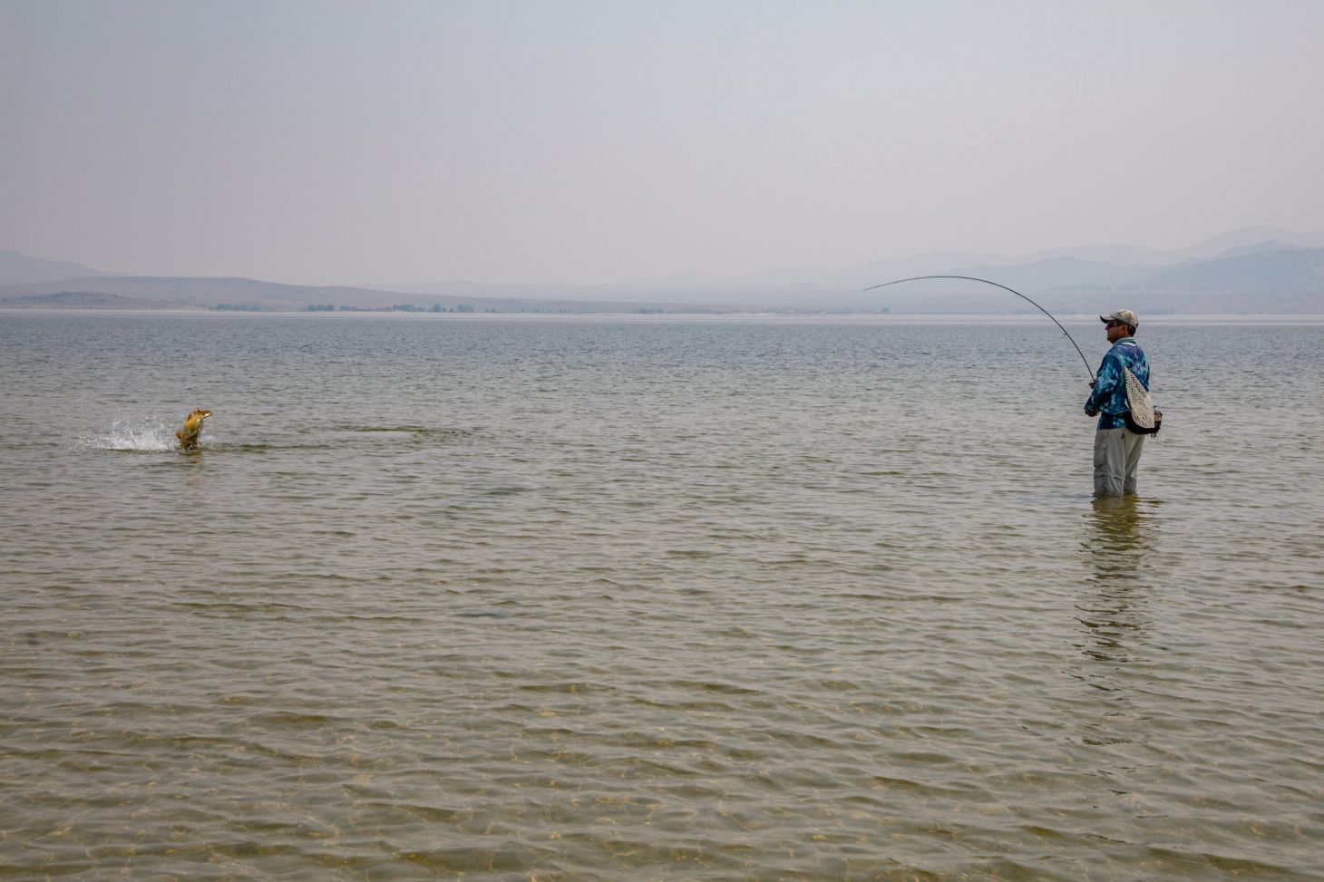 photo of catching carp on a fly rod