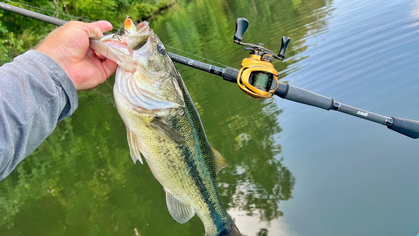 Angler holding up bass next to rod