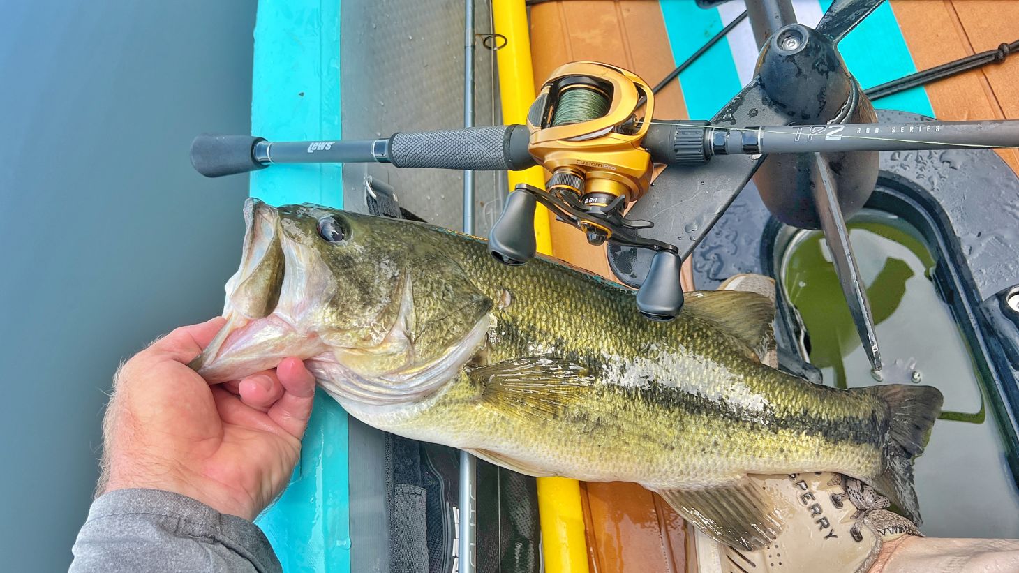 Bass next to Lew's TP2 Rod