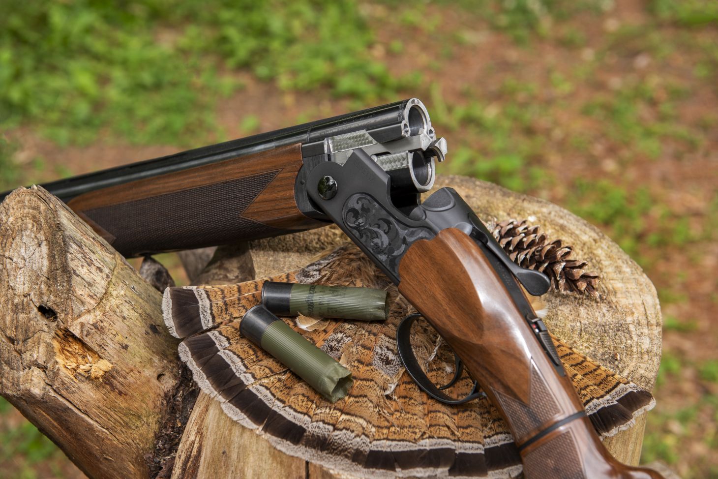 The new Beretta Ultraleggero Kick-Off shotgun broken open over stump with the tail fan of a grouse. 