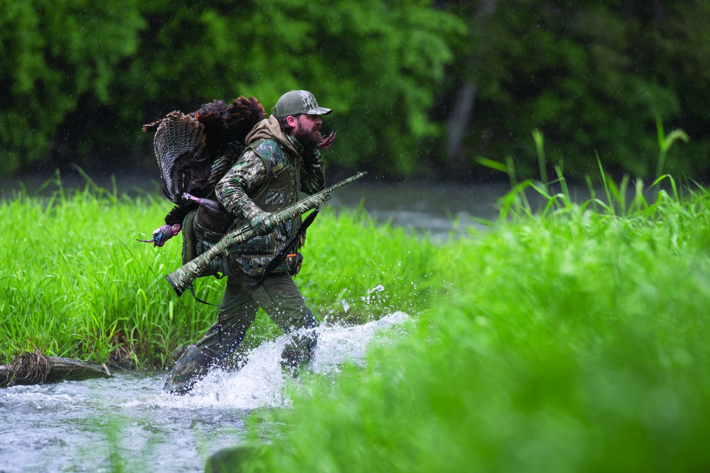 A successful hunter carries a turkey across a creek. 