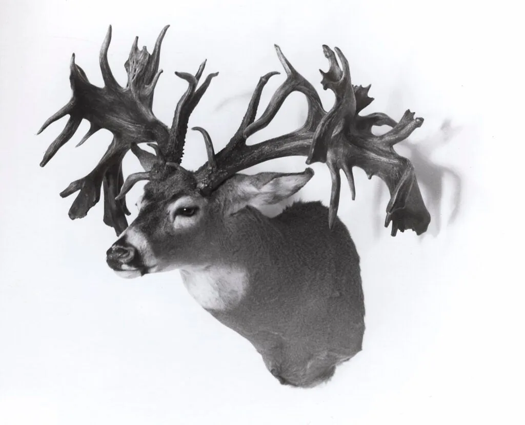 The Portage County Pickup—Ohio