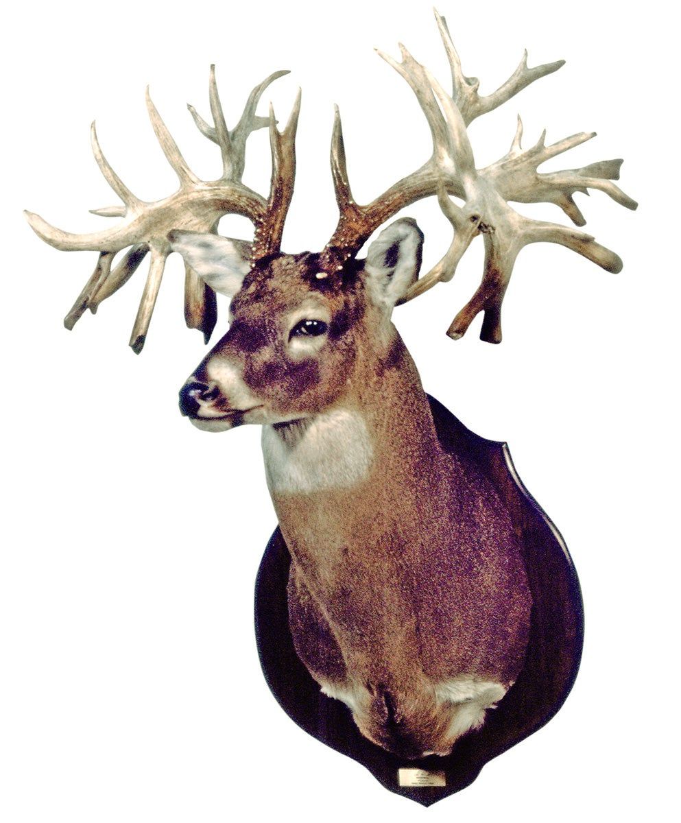 Record non-typical whitetail from MO