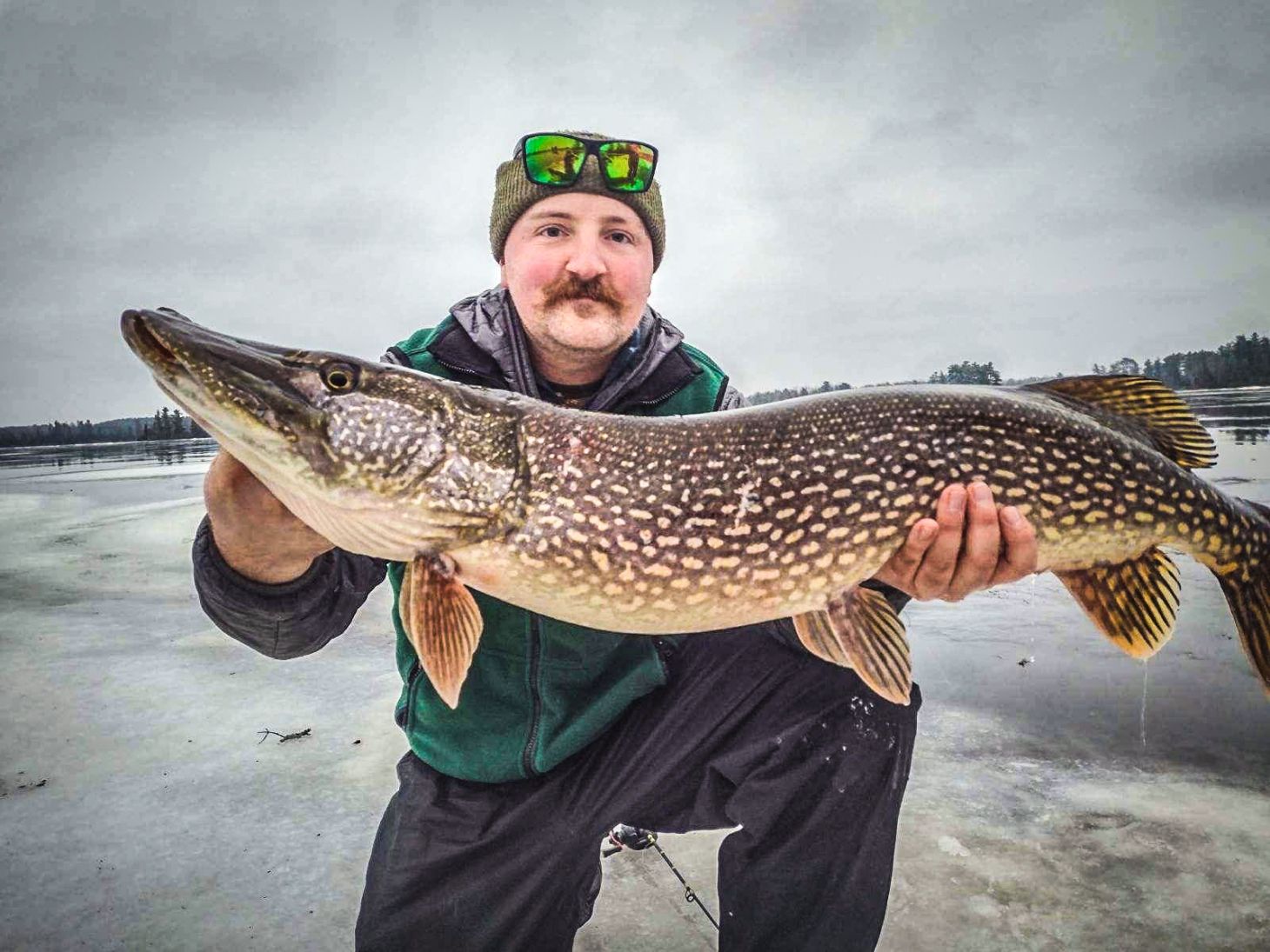 An angler poses with a large northern pike caught on public land in northern Minnesota. 