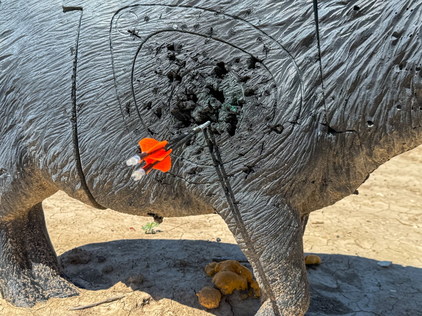 Two arrows in a 3D archery target. 