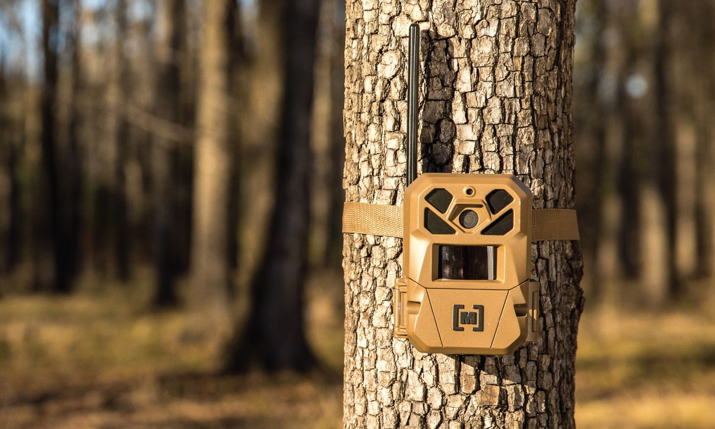The new Moultrie Mobile Edge 3 trail camera. 