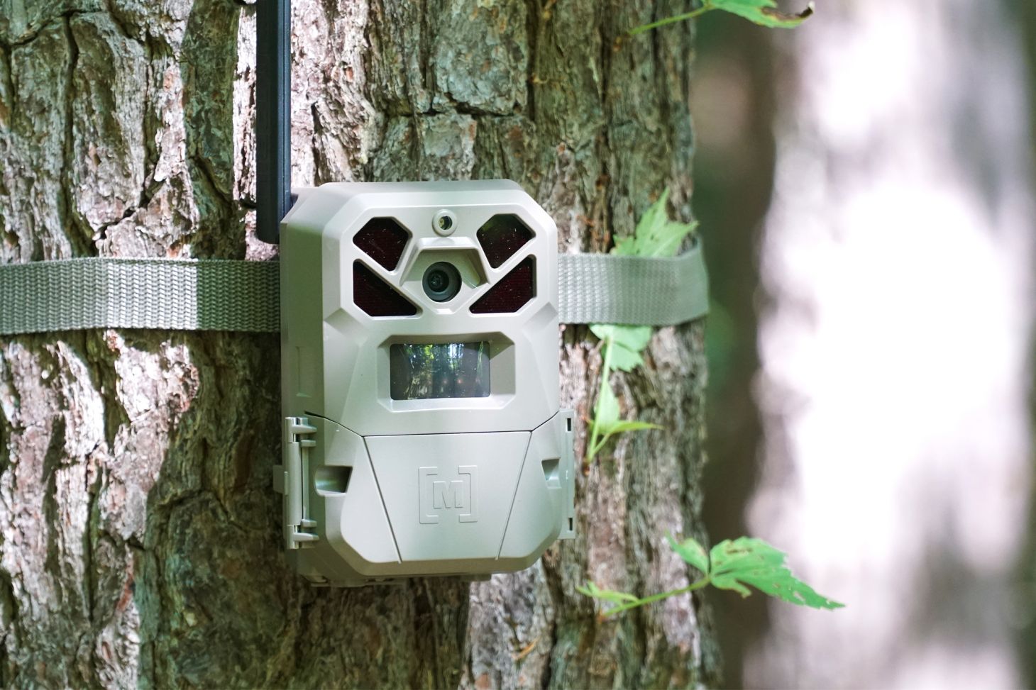 Moultrie Micro 420-i trail camera lying on the forest floor. 