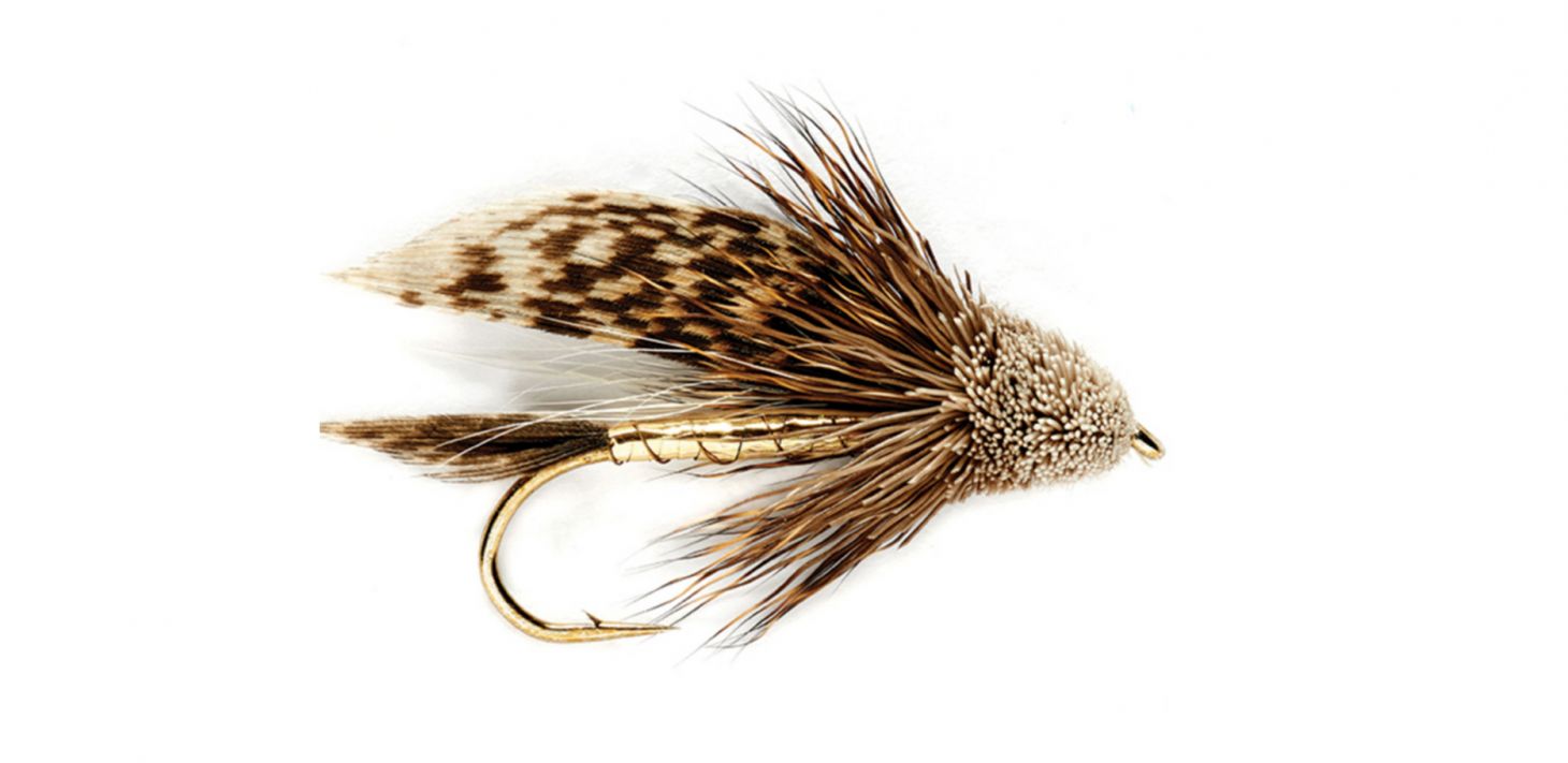 A Muddler Minnow fly on a white background. 