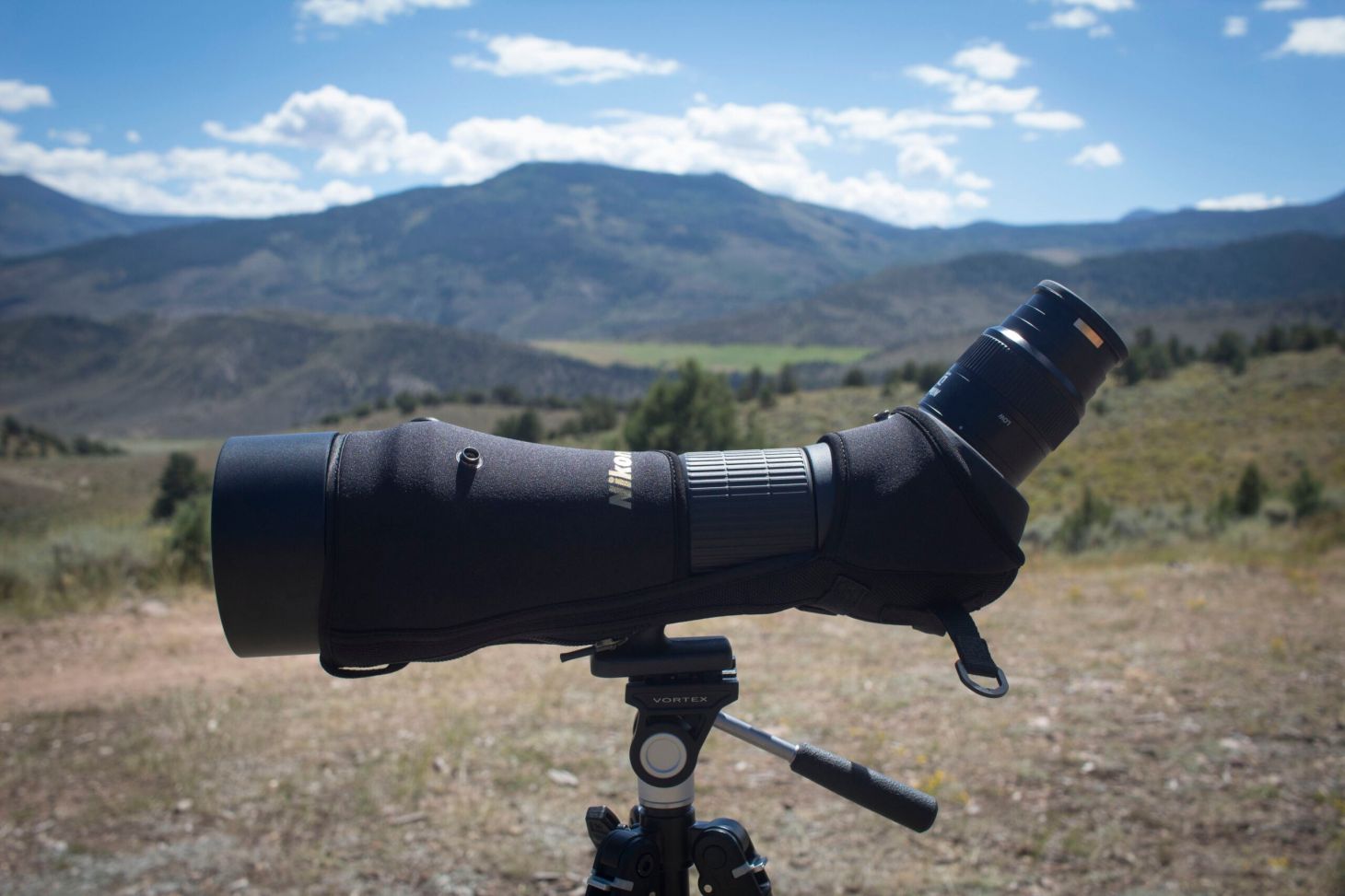 Black Bear Hunting photo