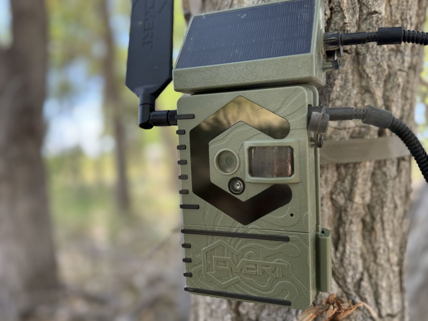 A trail camera hanging on a tree.