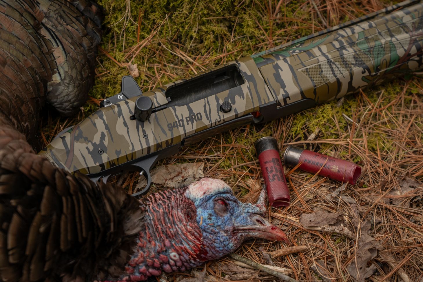 Shotgun next to turkey and shells