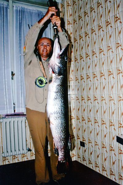 Pacchiarini 16-lbFLY