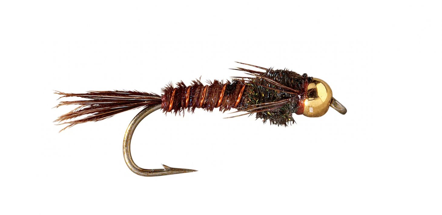 A Pheasant Tail nymph fly on a white background. 