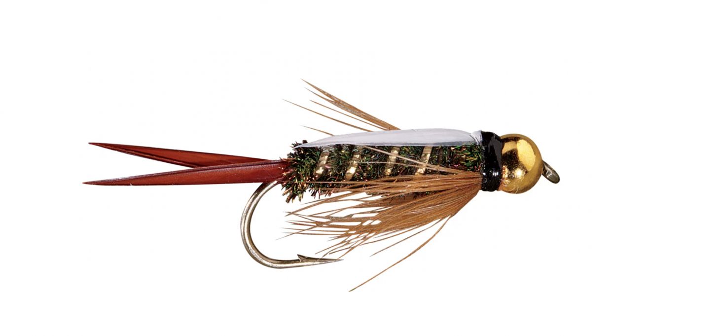 Prince Nymph on a white background.