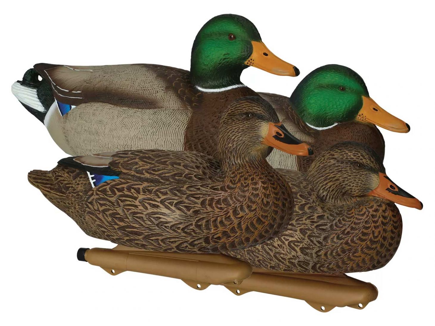 CabelaÃ¢€™s Northern Flight oversized mallard decoys.