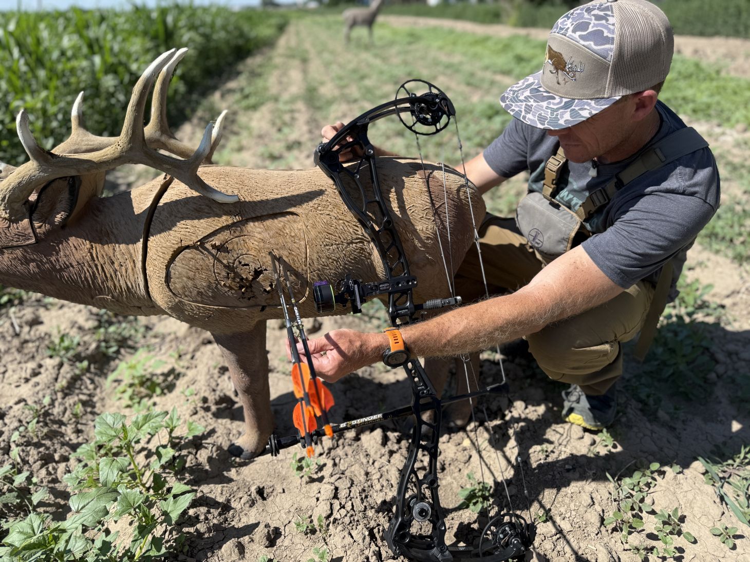 An archer admires a tight group of arrow shot into a 3D elk target. 