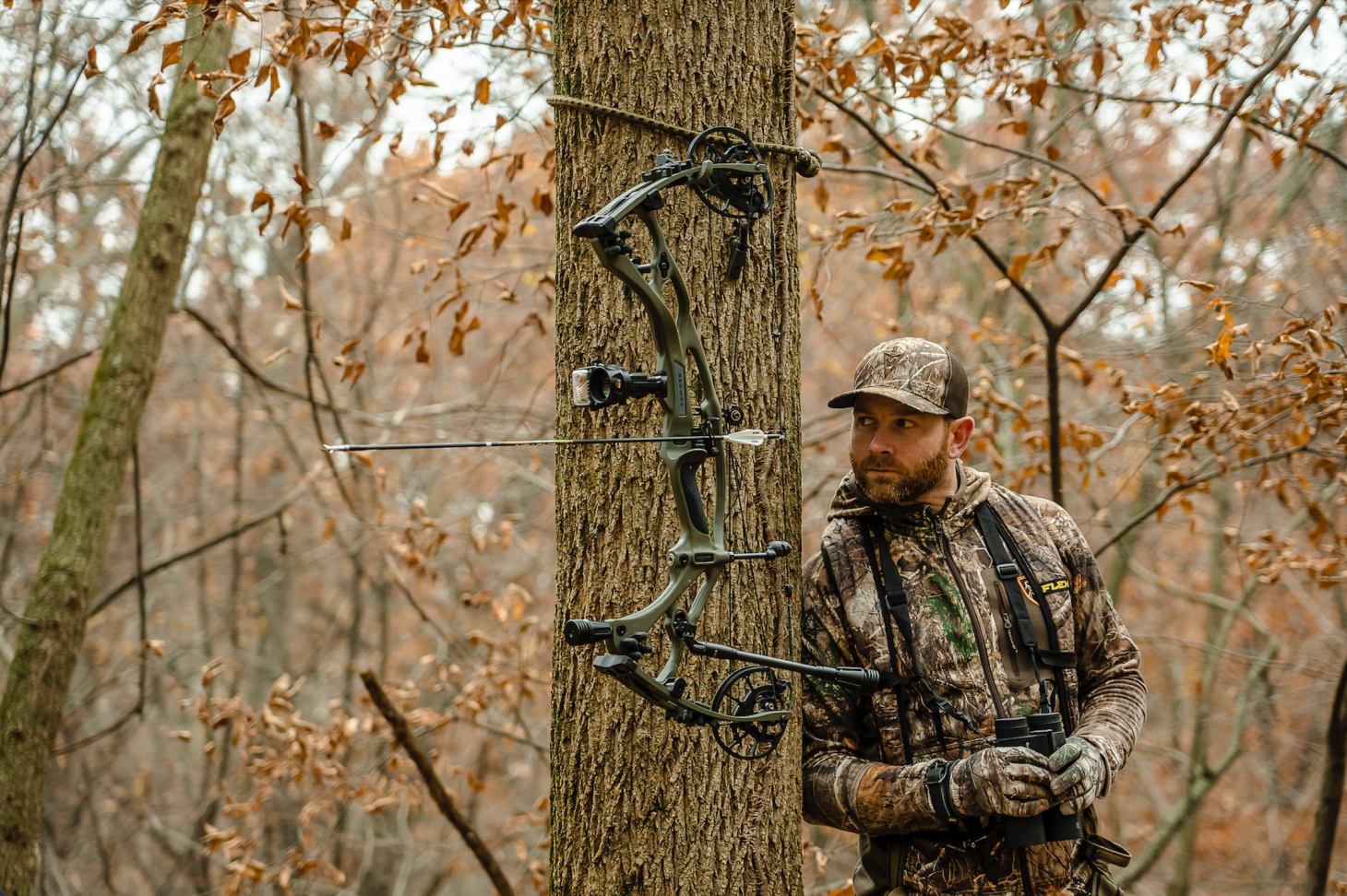 photo of Hoyt RX-7 compound bow