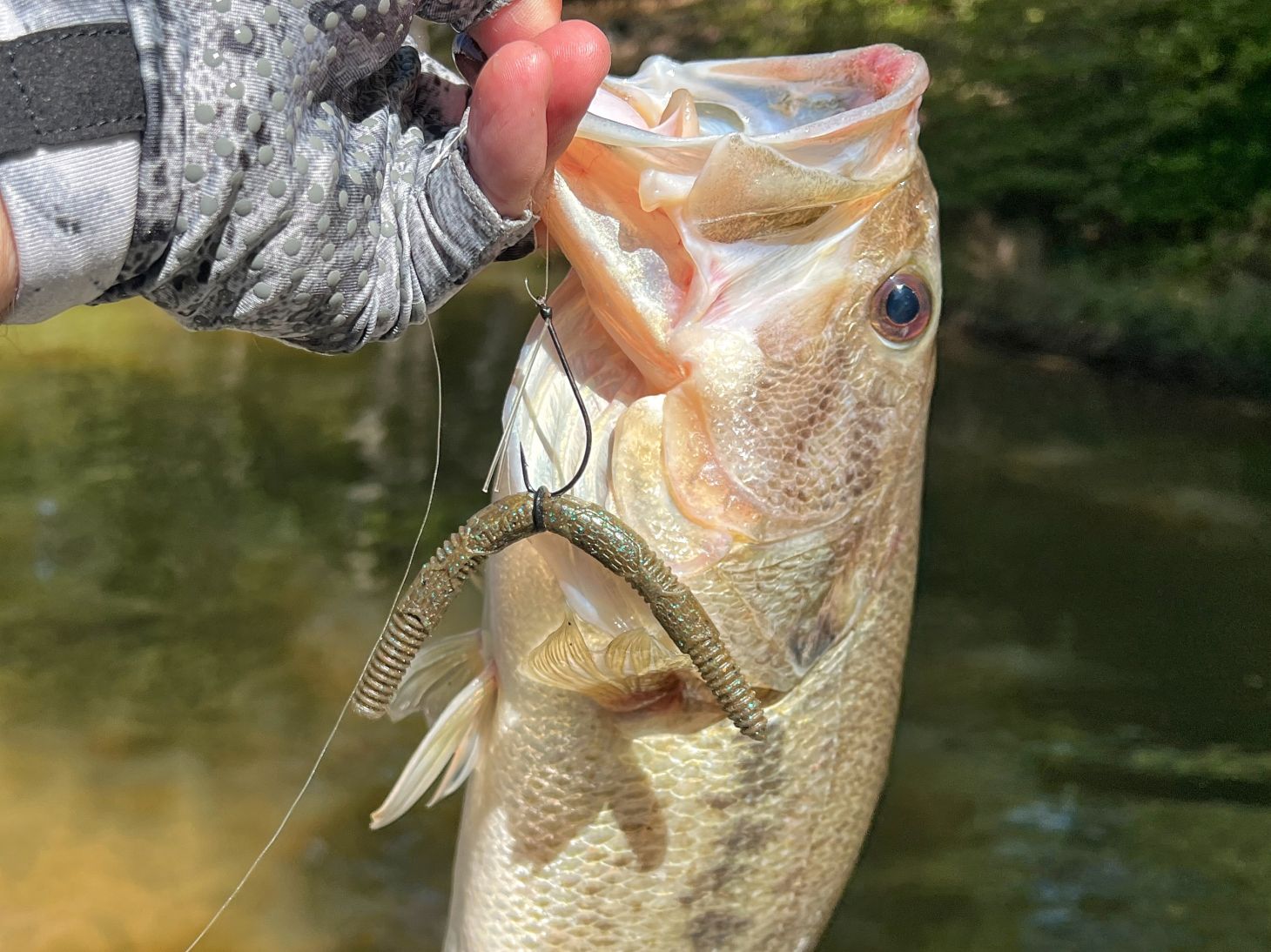 Rapala Crush City Pig Stick