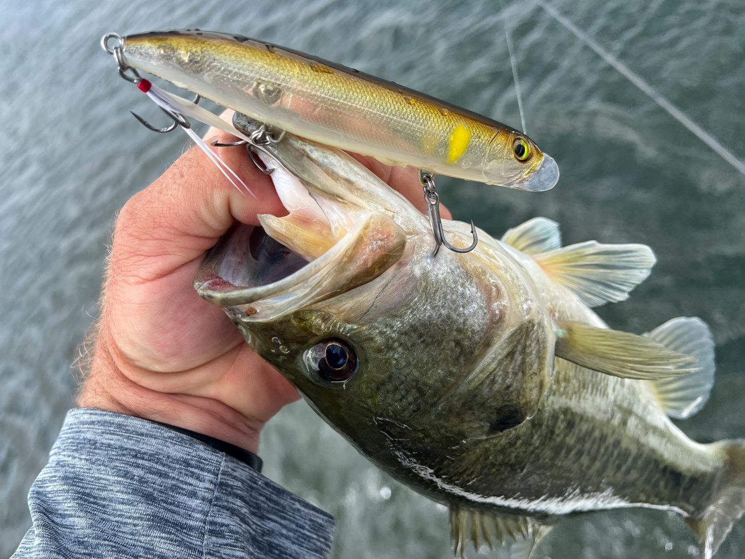 Rapala Jowler