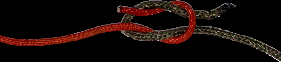 Step 3 in how to tie a square knot