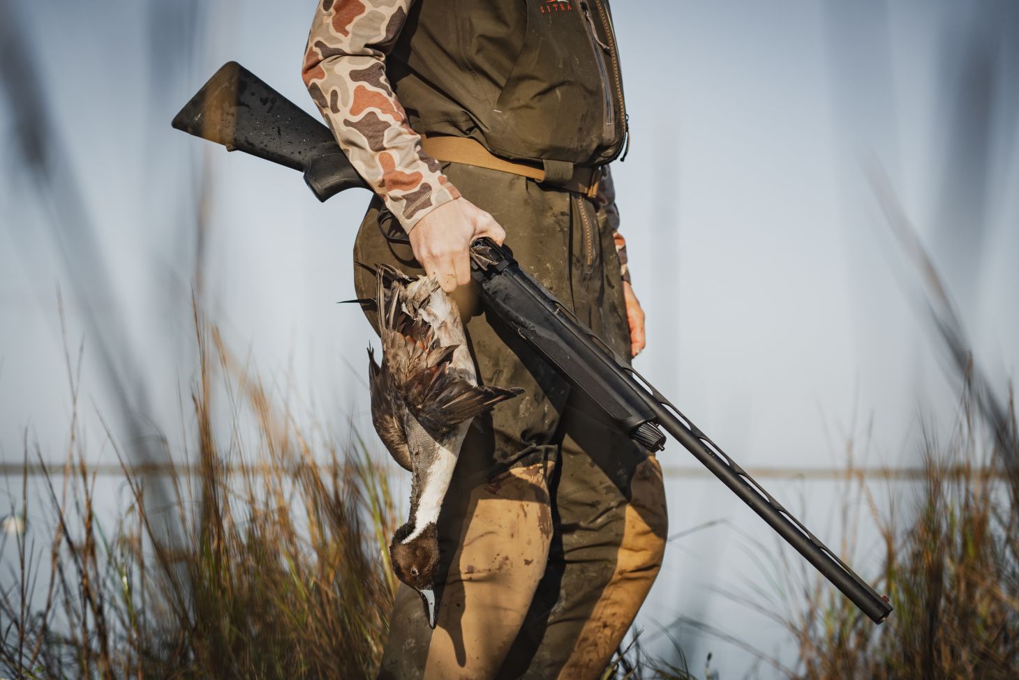 Hunter holding duck and shotgun