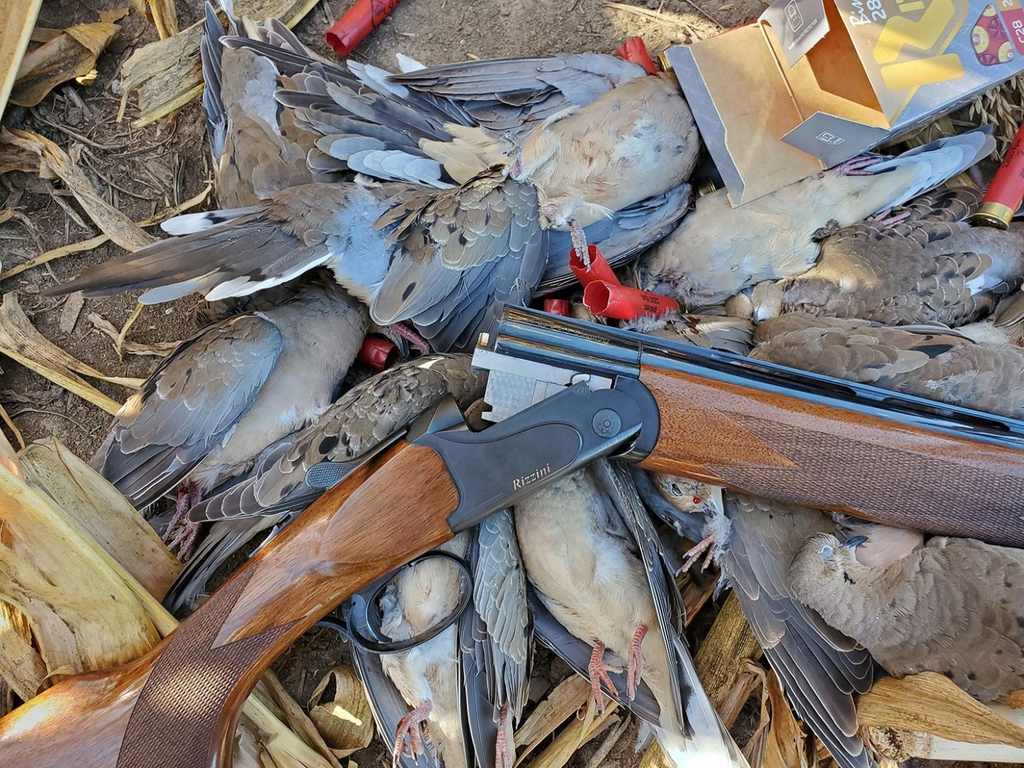 The author's 28-gauge Rizzini over/under worked well for close-range decoying doves. But when the shots got tougher, he switched to a heavier 12-gauge.