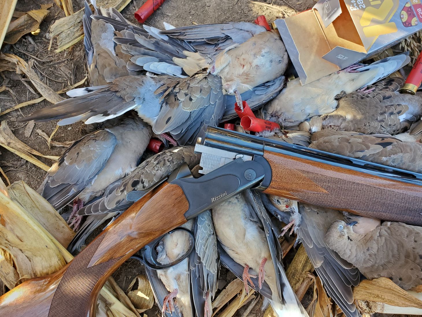 Rizzini shotgun and doves