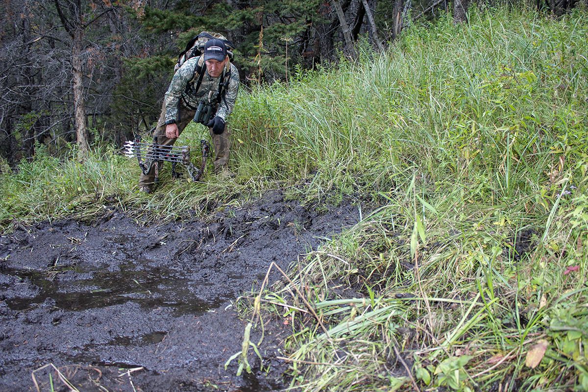 Hunter looking at elk wallow