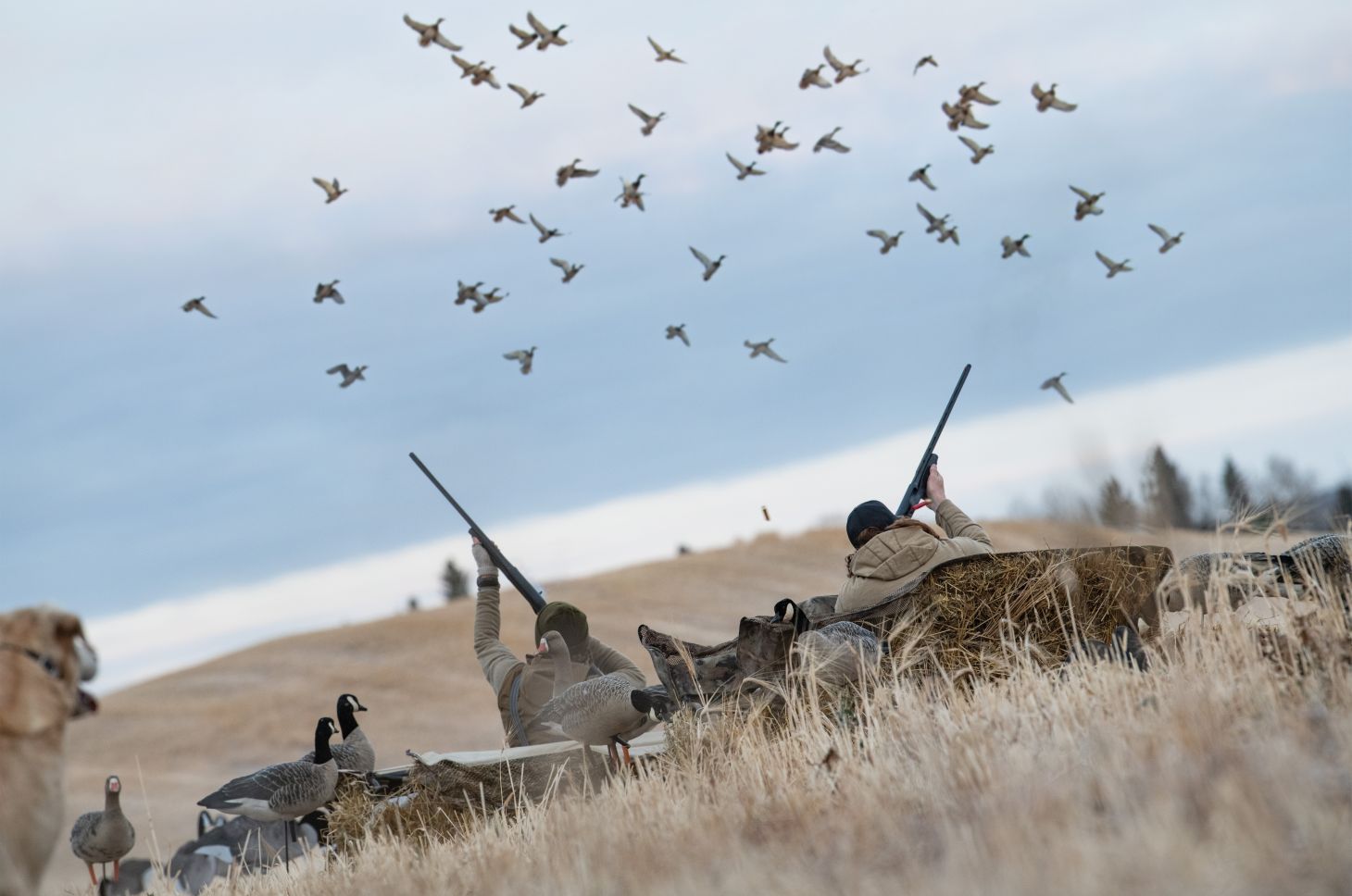 Hunters shooting at ducks
